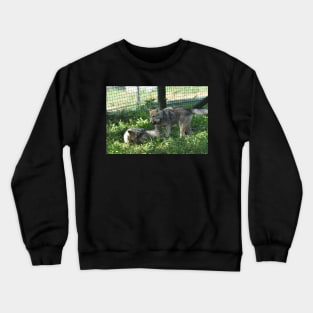 Wolf Puppies Crewneck Sweatshirt